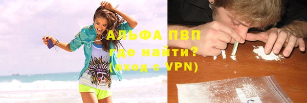 стаф Новодвинск