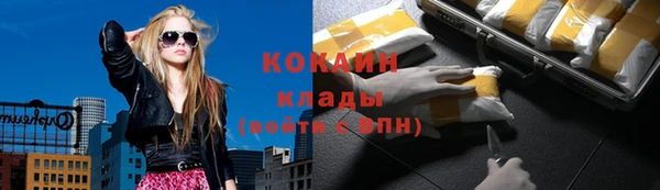стаф Новодвинск