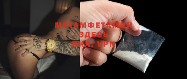 индика Новокубанск