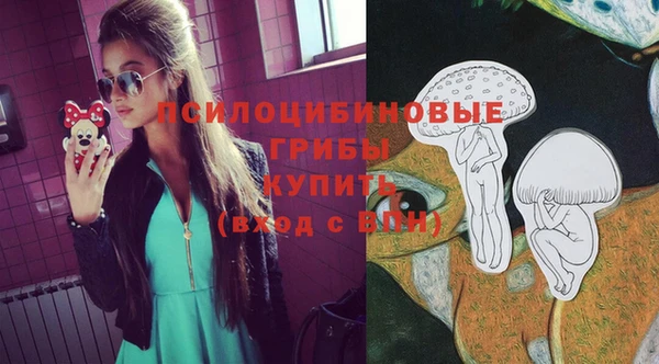 стаф Новодвинск