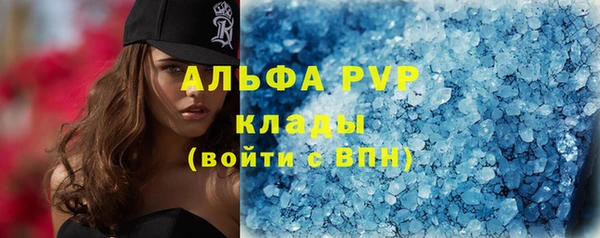 стаф Новодвинск